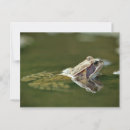 Zoek naar kikker briefkaarten Water
