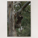 Zoek naar koala puzzels Dier