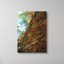 Zoek naar rots canvas prints Bomen