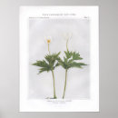 Zoek naar rond posters Bloem