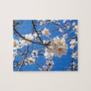 Zoek naar bomen puzzels Boom