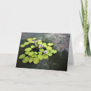 Zoek naar waterlelies fotografie Bloem