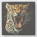 Zoek naar luipaard onderzetters Feliene