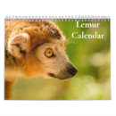 Zoek naar lemur kalenders 2027