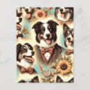 Zoek naar border collie briefkaarten Puppy