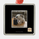 Zoek naar cafeïne ornamenten Ik kan cheezburger hebben