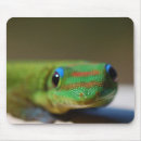 Zoek naar friend fotografie Natuur