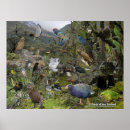 Zoek naar kiwi kunst Aotearoa