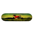 Zoek naar paard skateboards Dier