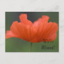 Zoek naar papavers uitnodigingen Oranje papaver