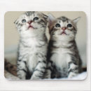 Zoek naar twee dieren muismatten Kitten