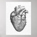 Zoek naar hart anatomie posters Medisch