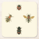 Zoek naar kevers onderzetters Insecten