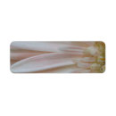 Zoek naar planten etiketten Roze