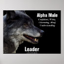Zoek naar grijze wolf posters Hoektand