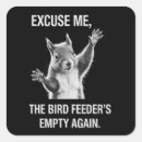 Zoek naar eekhoorn stickers Grappig