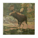 Zoek naar leven tegels Natuur