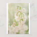 Zoek naar lily of the valley briefkaarten Floral
