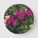 Zoek naar roze tulpen klokken Knol