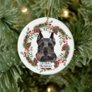 Zoek naar miniatuur ornamenten Hond