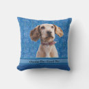 Zoek naar leuke hond kussens Voor haar