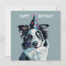 Zoek naar collie hond kaarten Bordercollie
