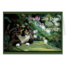 Zoek naar dood kaarten Voor haar