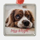 Zoek naar christmas dog ornamenten Voor hem/haar