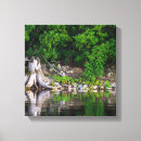 Zoek naar boom kunst Reflectie