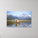 Zoek naar steve kunst Alaska