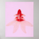 Zoek naar goudvis posters Roze