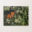 Zoek naar vliegen puzzels Natuur