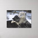 Zoek naar wolven canvas prints Natuur