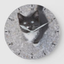 Zoek naar kitten klokken Fotografie