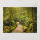Zoek naar rainforest briefkaarten Voetpath