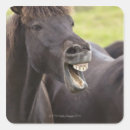 Zoek naar grappig paard stickers Humor
