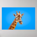 Zoek naar giraf hoofd posters Portret