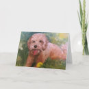 Zoek naar goldendoodle kaarten Dog