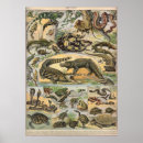 Zoek naar reptiel posters Vintage