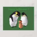 Zoek naar gekke vogel briefkaarten Grappig