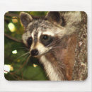 Zoek naar racoon muismatten Natuur