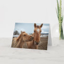 Zoek naar verkoudheid kaarten Pony