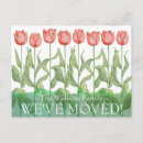 Zoek naar roze tulp briefkaarten Voor hem/haar