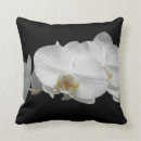 Zoek naar orchideeën kussens Floreel