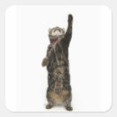 Zoek naar huishouden stickers Dier