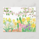 Zoek naar flowers briefkaarten Daffodil