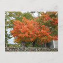 Zoek naar new england briefkaarten Massachusetts
