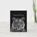 Zoek naar witte tijger kaarten Tijgers