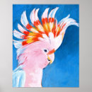 Zoek naar cockatoo kunst Wilde dieren