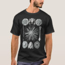 Zoek naar ernst kleding Kunstformen der natur